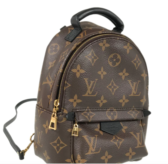 Louis Vuitton Monogram Palm Springs Backpack Mini M44873