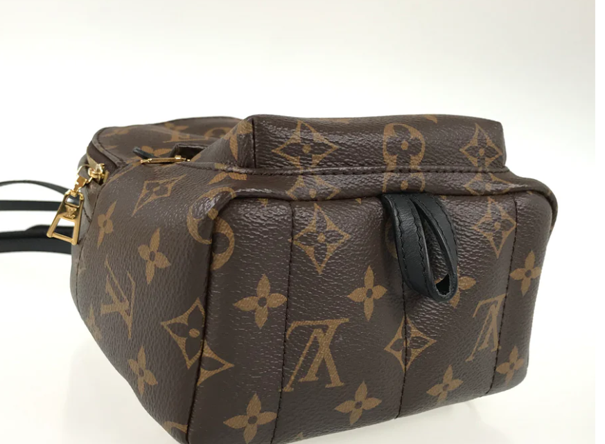 Louis Vuitton Monogram Palm Springs Backpack Mini M44873