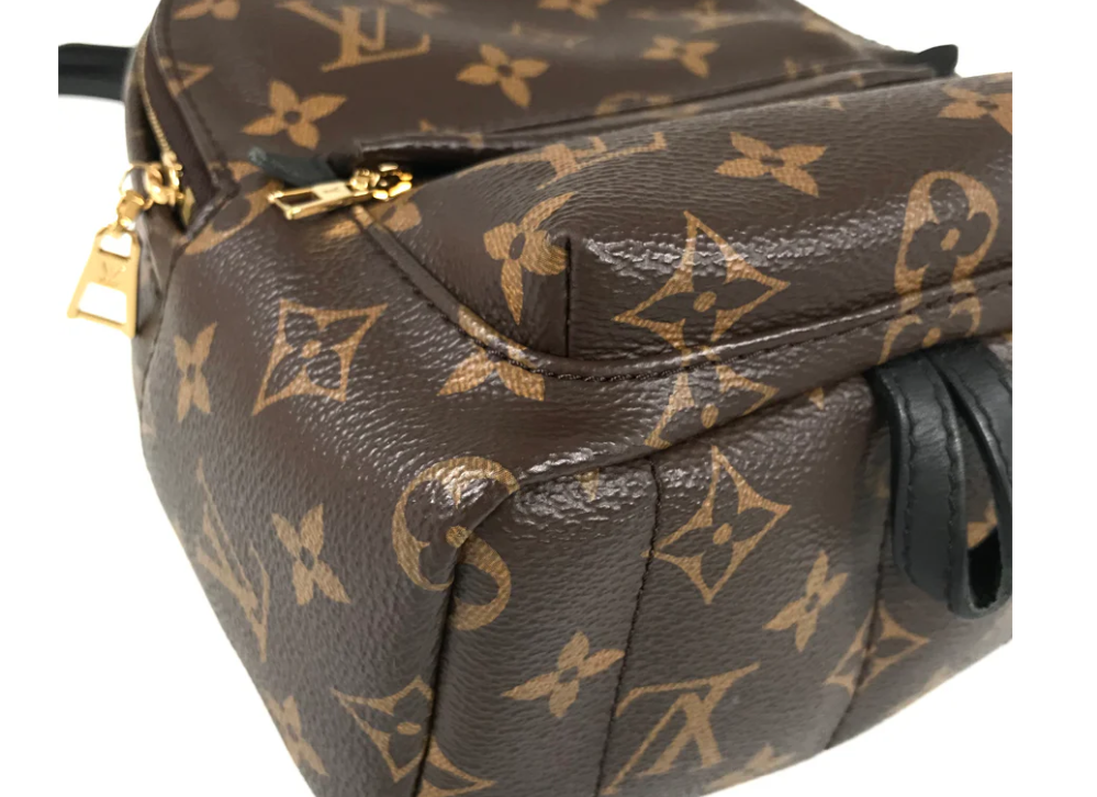 Louis Vuitton Monogram Palm Springs Backpack Mini M44873