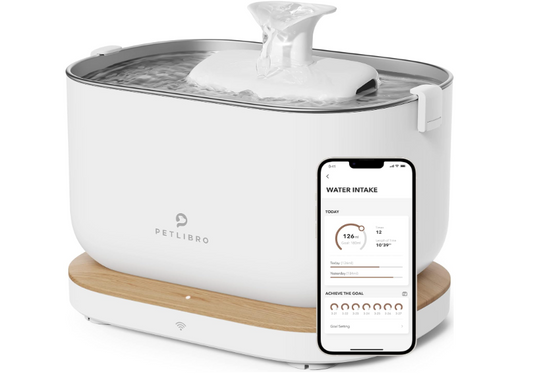 Cat Water Fountain – Stainless Steel Tray, Indoor Pet Water Dispenser with Smart Drinking Monitoring, 2 Wireless Pumps