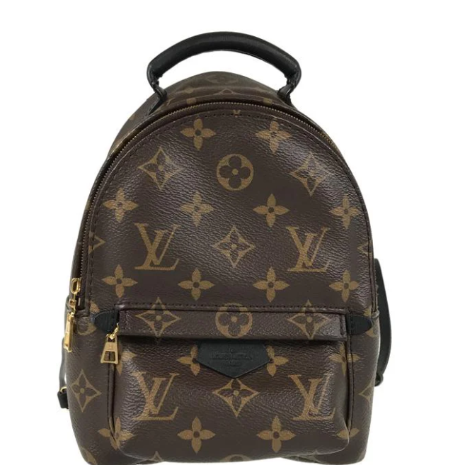 Louis Vuitton Monogram Palm Springs Backpack Mini M44873