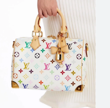 Louis Vuitton Murakami Speedy