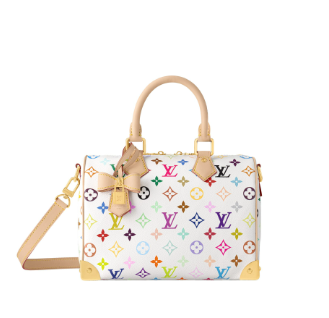 Louis Vuitton Murakami Speedy
